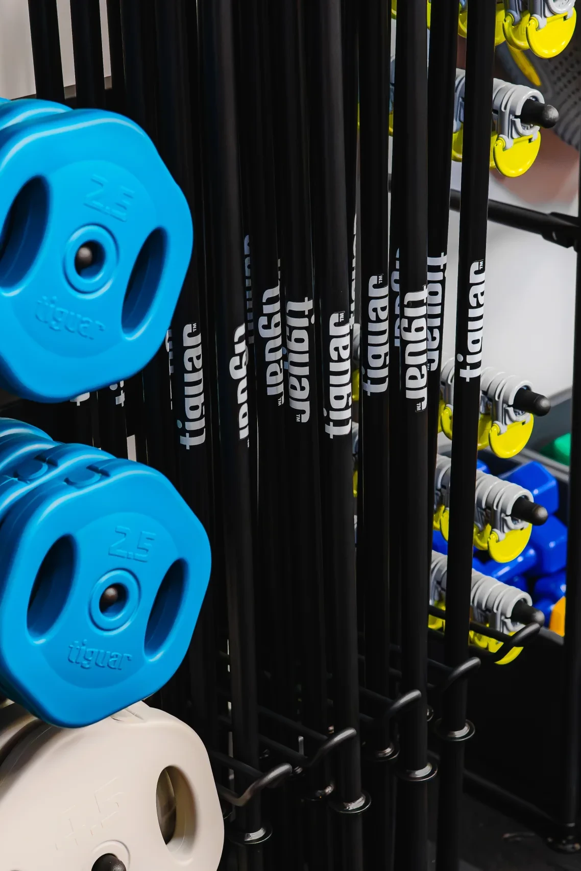 Sztangi z talerzami do zajęć z obciążeniem i kolorowe hantelki w sali fitness – siłownia Funfit II Bohaterów Getta 9 w Nowej Soli